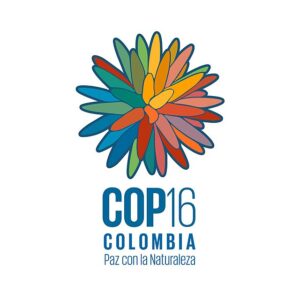 COP 16 CBD